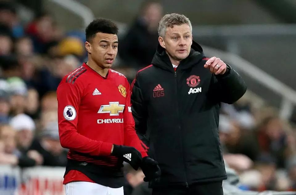 有望在未来 有望在未来